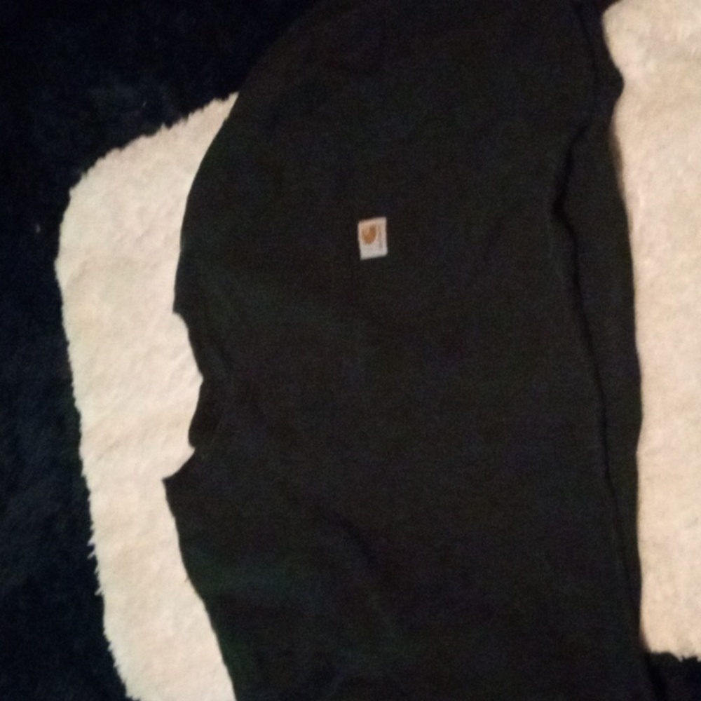 Carhartt cropped shirt